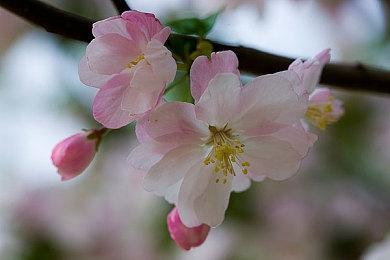 《重装岚影：重生》登陆Steam 吸幸类型动作射击